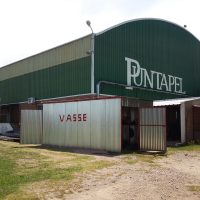 Planta Puntapel. Zucamor. San Luis.